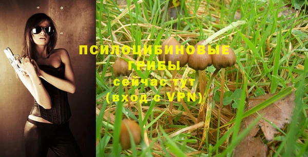 индика Бикин