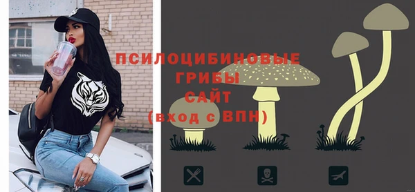 apvp Вязьма