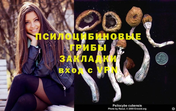 apvp Вязьма
