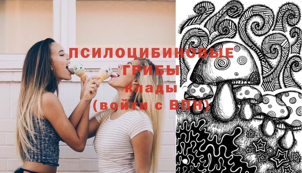 прущие крисы Бронницы