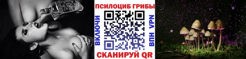 магазин продажи   Заволжск  Псилоцибиновые грибы GOLDEN TEACHER 